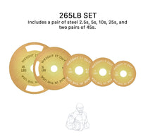 Load image into Gallery viewer, Solid Steel Calibrated Weight Plate Sets Preorder